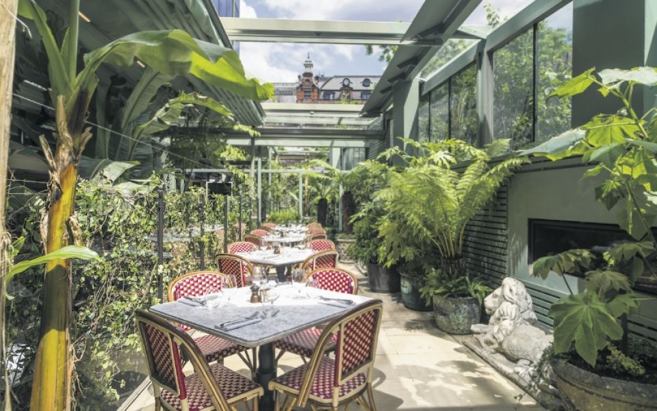 Interiors: The Ivy Collection Is Spreading Across London Like A ...