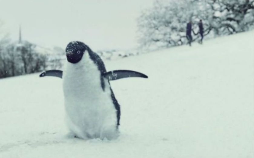 John Lewis Christmas advert 2014 Monty the penguin gets 2.5 million