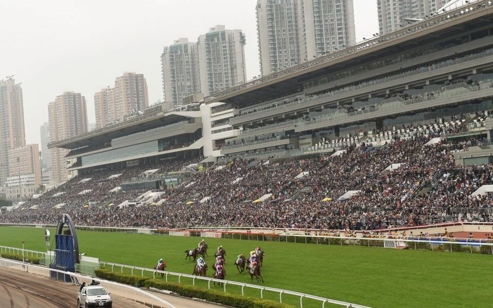 Hong Kong Horse Racing Tips: Uncle Steve out to impress for connections ...