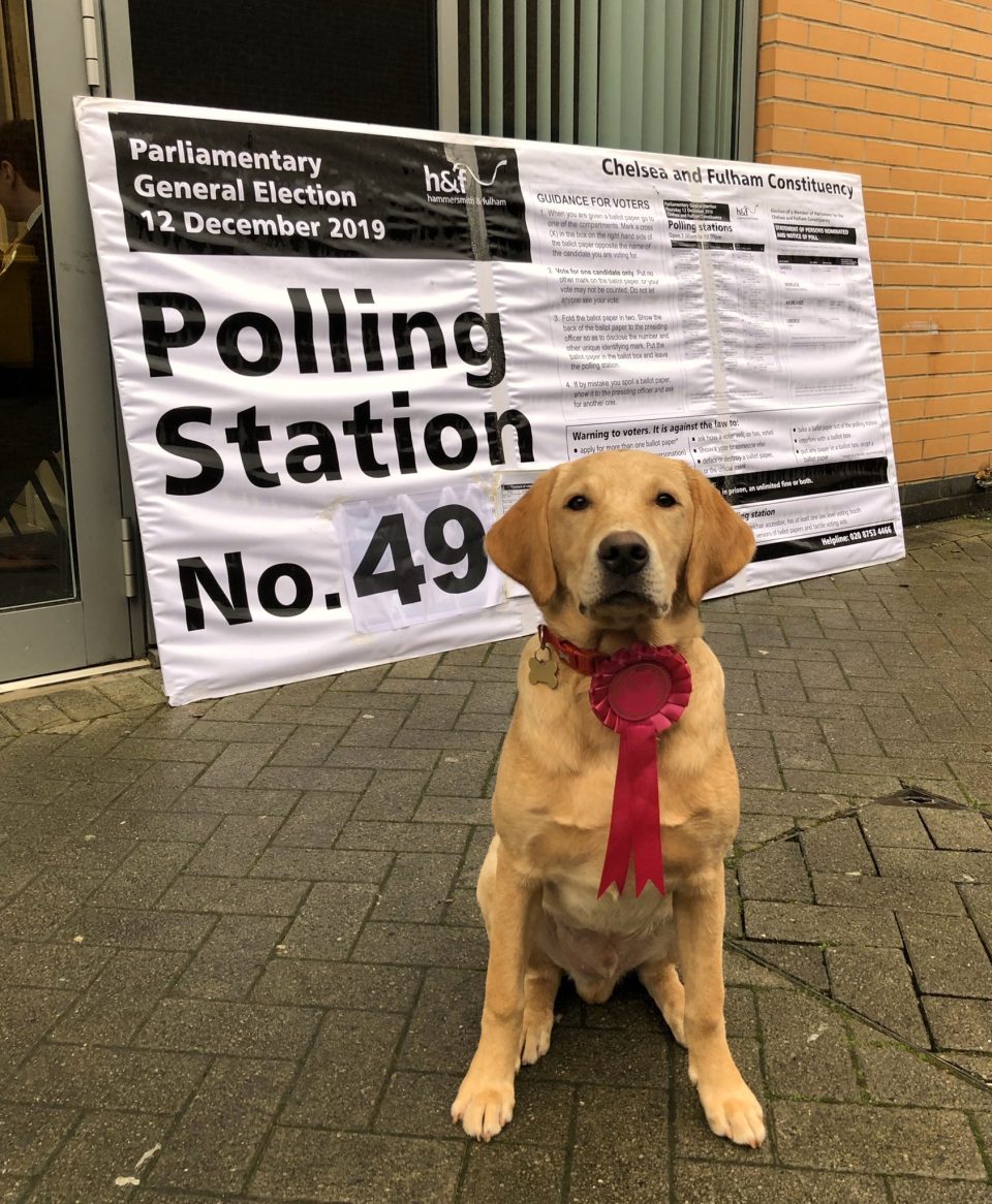 General Election live: Dogs at polling stations across the UK : CityAM