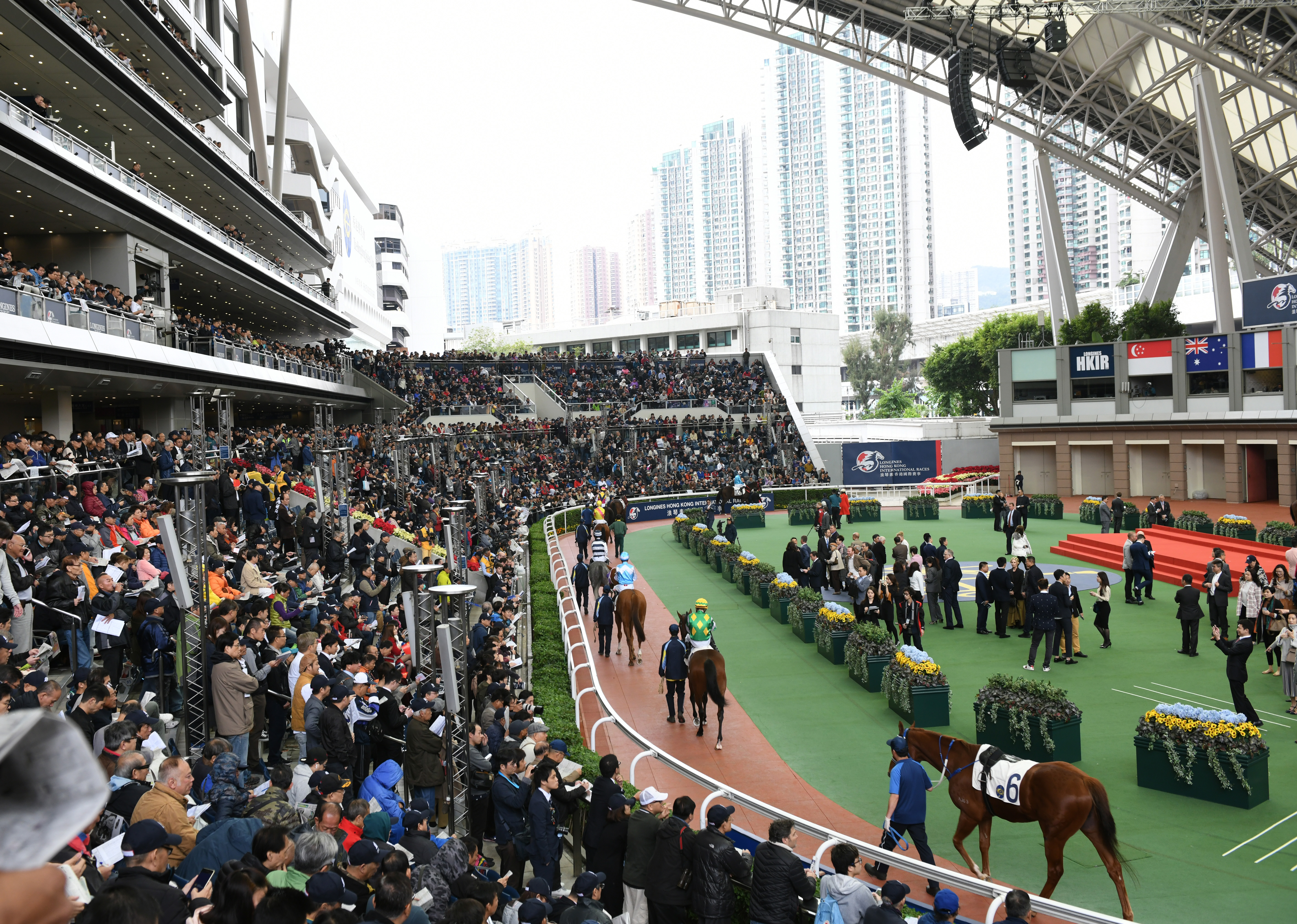 Hong Kong Racing Tips World should be watching Aethero sprint to