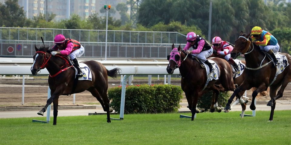 Hong Kong Racing Tips Waikuku Looks A Beauty Of A Bet To Upset Generation Cityam