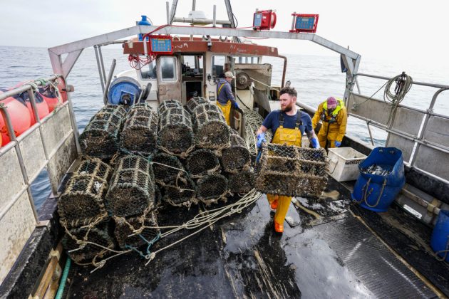 UK agrees 2021 fishing quotas with EU in £333m deal