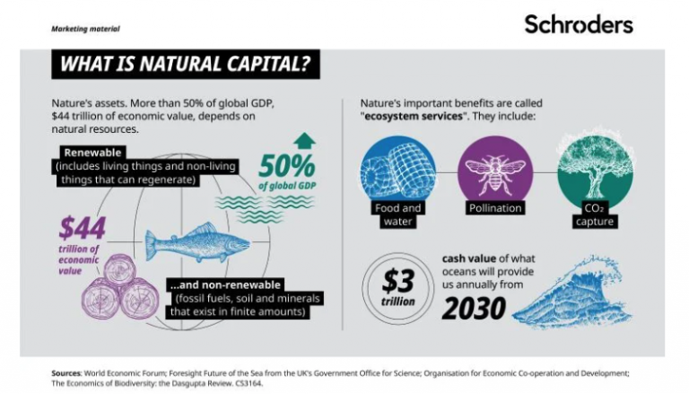 q-a-what-is-natural-capital-and-why-should-investors-care-cityam