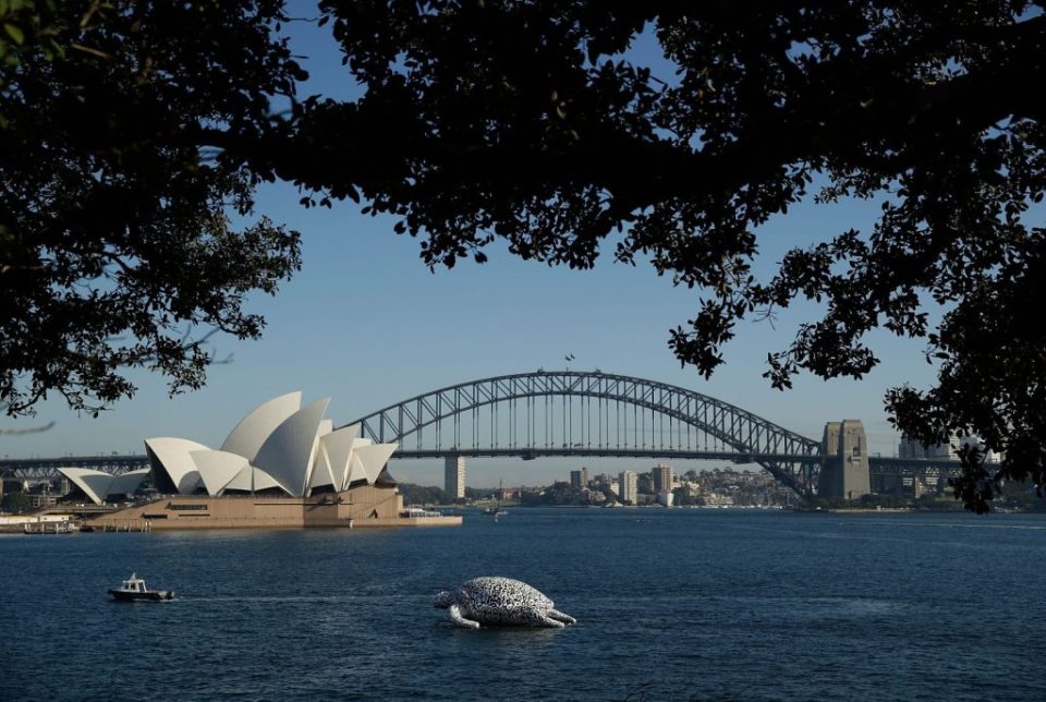 Gigantic Sea Turtle Sculpture Floats Past Sydney Harbour Bridge and Sydney Opera House