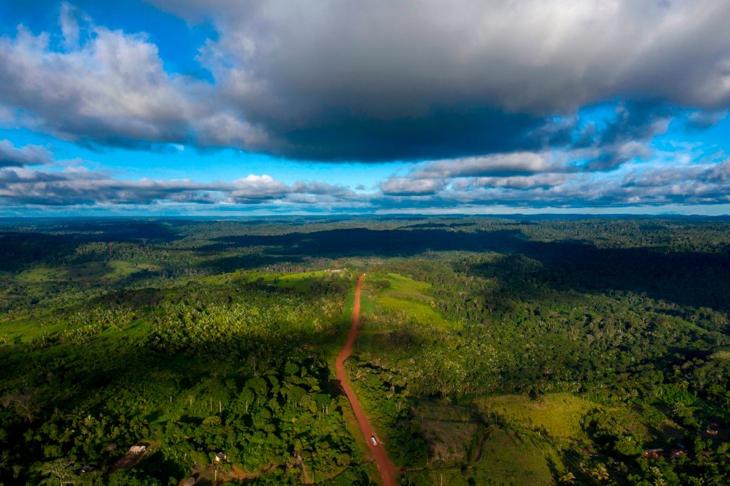 COP28: Supermarkets to be banned from selling products linked to illegal deforestation