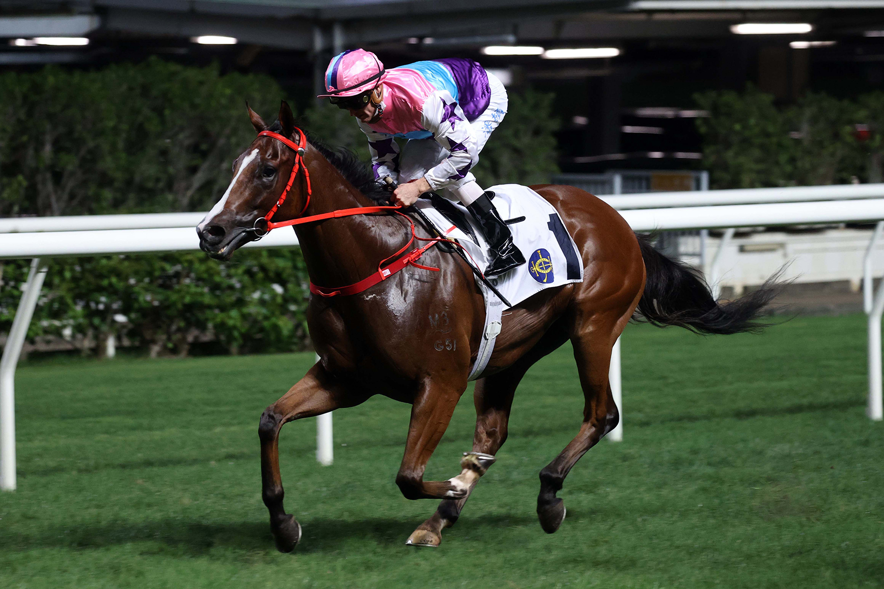 Lor could tie up HK trainers’ title with Ecstatic win