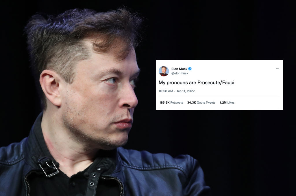 Twitter, Elon Musk - and what's next for the bird-owning billionaire ...