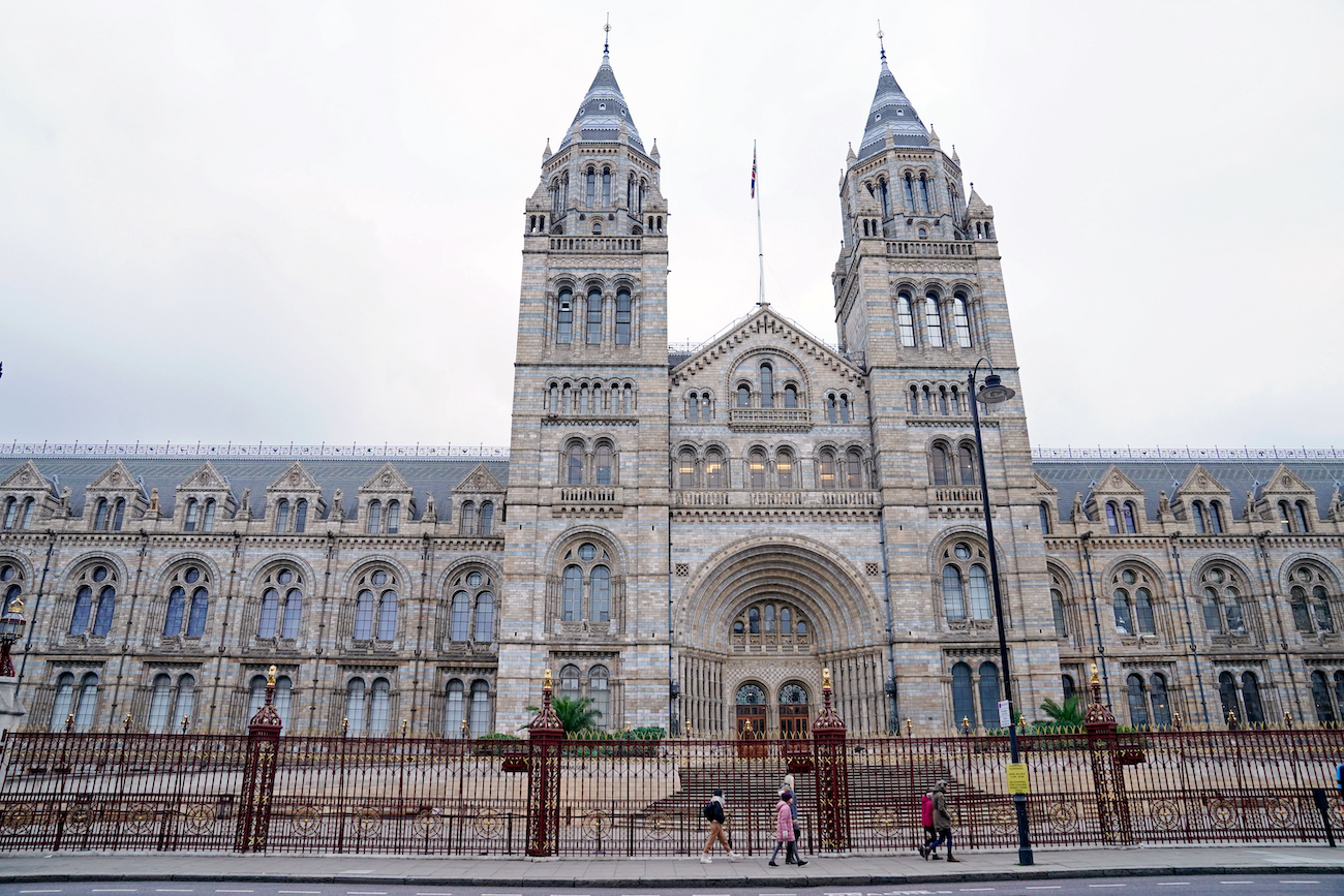 london-s-natural-history-museum-prepares-to-re-open-in-cyprus