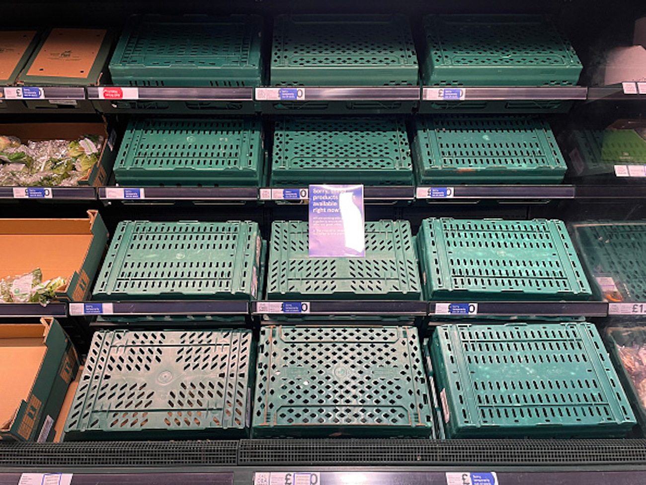 Asda, Lidl, Tesco and Sainsbury's ration or start to run out of eggs as  shortages hit the shelves - Wales Online