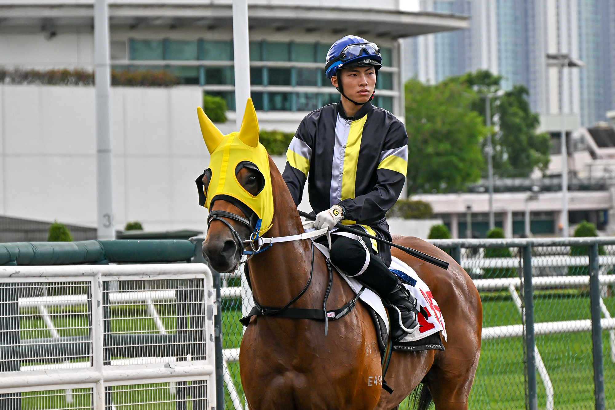 Ellis Wong and Caspar Fownes the Perfect Team at Sha Tin