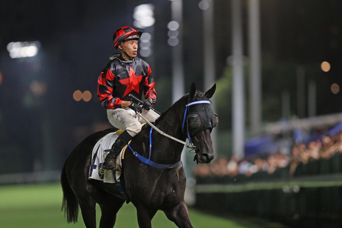 Dancing Code has gone close in two of his last three starts at Sha Tin under Vincent Ho