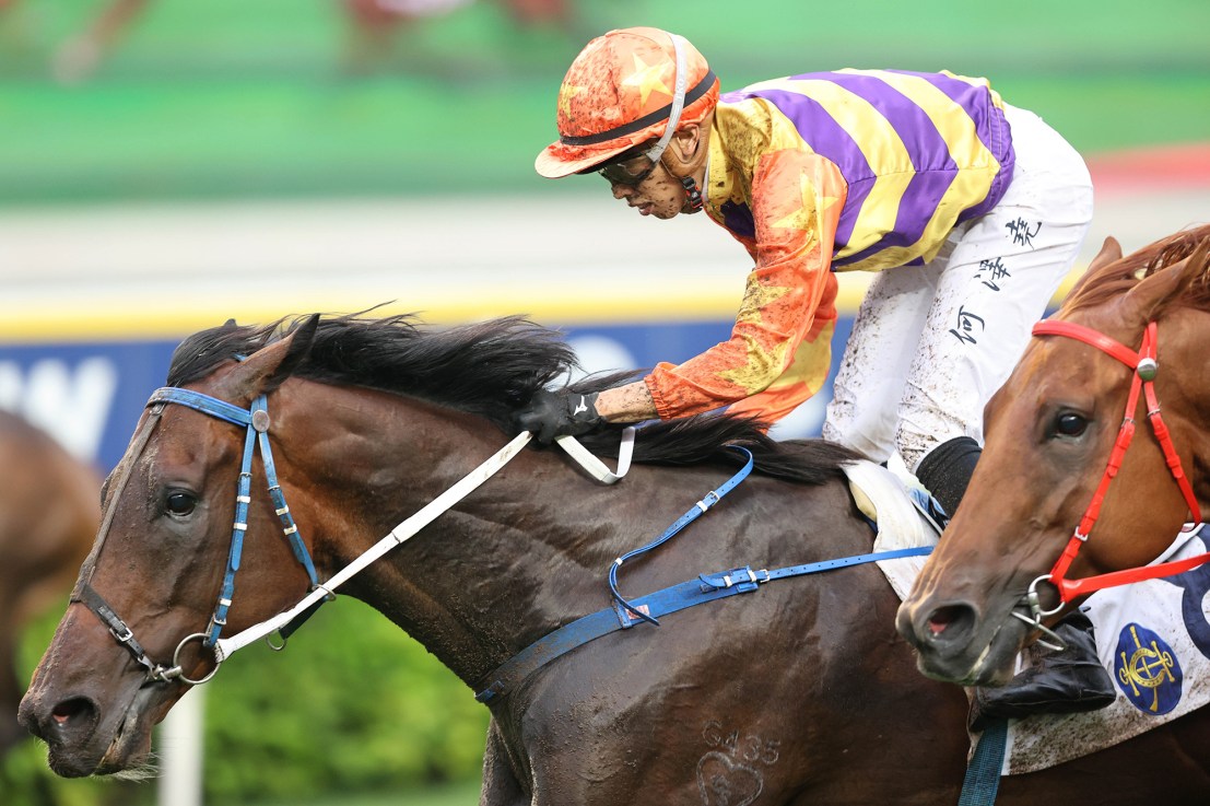 Straight Arron finished less than a length behind Romantic Warrior in December's LONGINES Hong Kong Cup