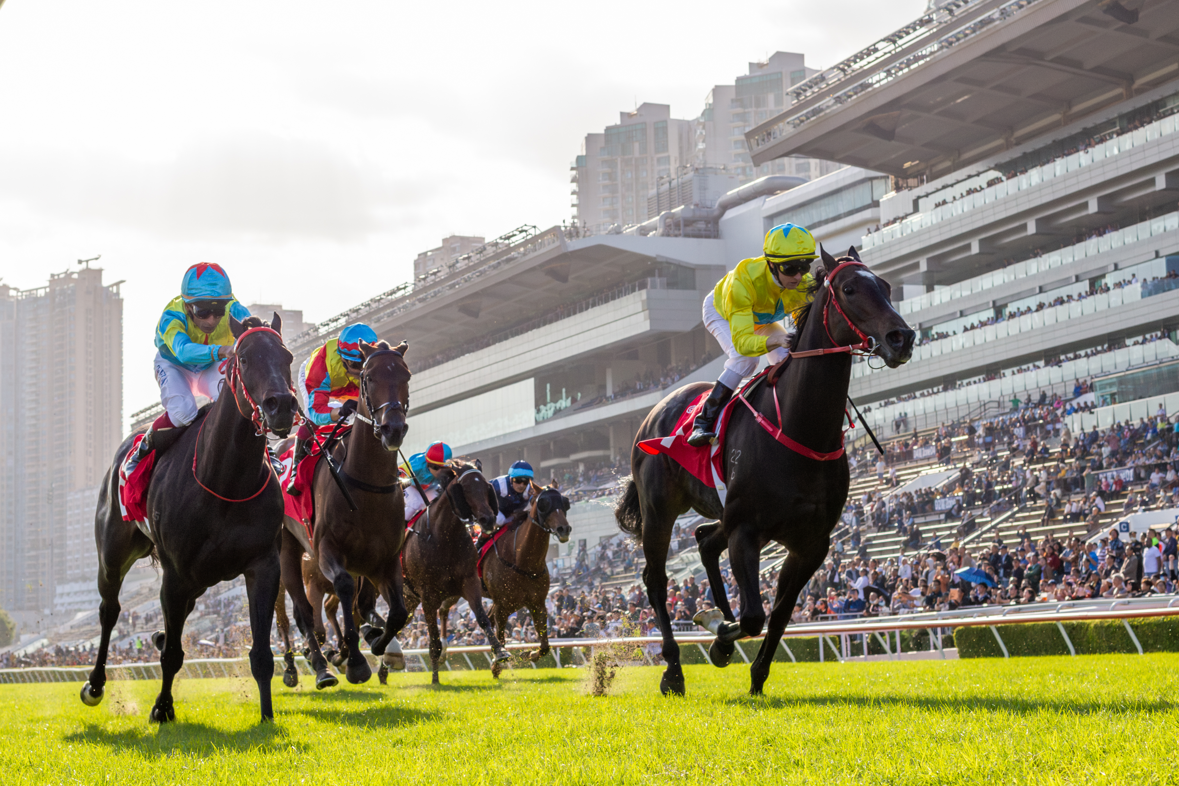 Sweynesse out to make it second time Lucky in Hong Kong Sprint