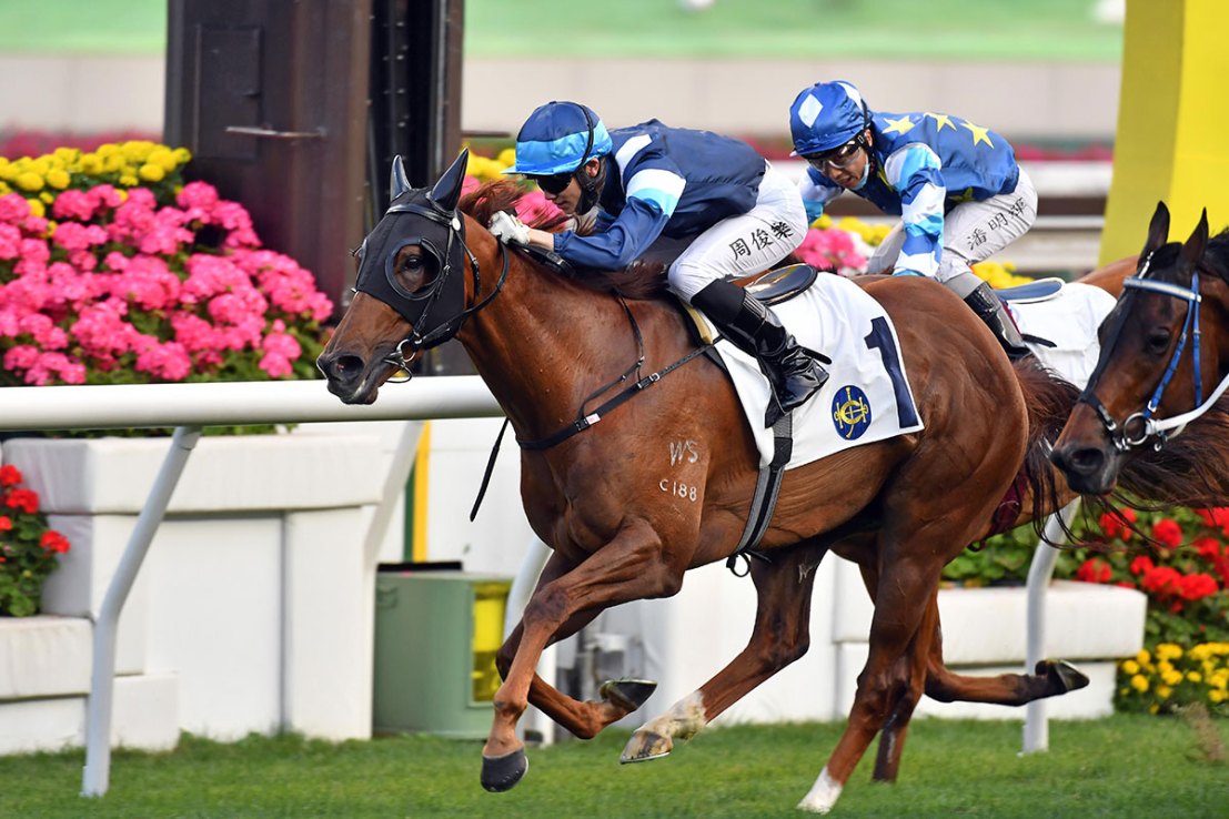 Duke Wai is a nine-time winner at Sha Tin