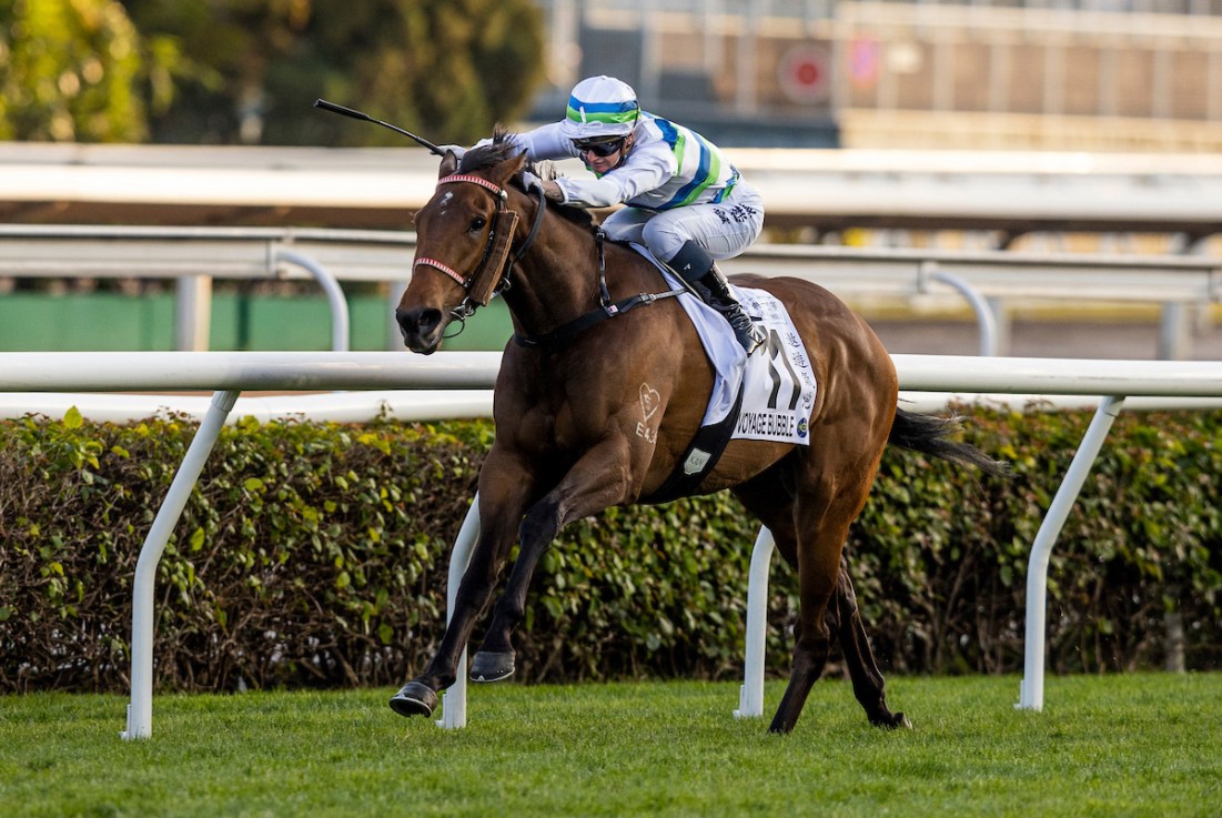 Voyage Bubble and James McDonald finished second in the Hong Kong Mile last time out