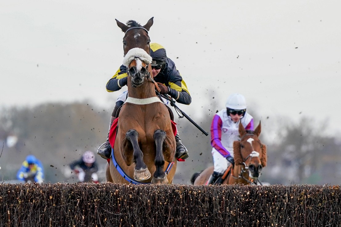 Kane can have the Killer instinct in Kempton highlight