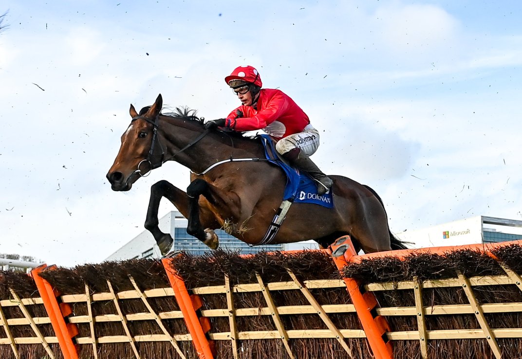 Home By The Lee finished fifth in last year’s Stayers’ Hurdle