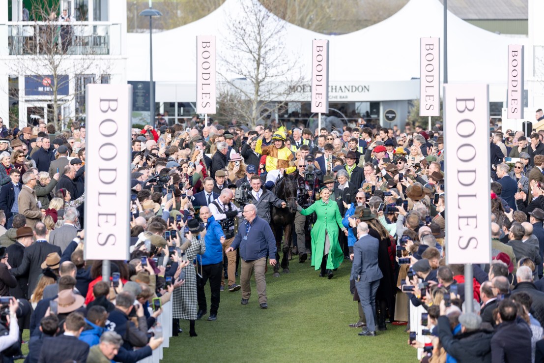 Cheltenham on the hunt for 2025 Festival principal partner