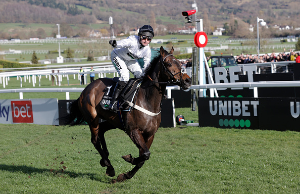 Nicky Henderson makes Cheltenham Festival promise after Constitution Hill decision