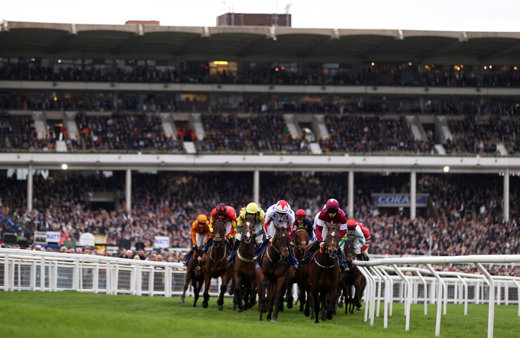 Ed Warner: Horse racing has a potent calling card – but needs urgent change