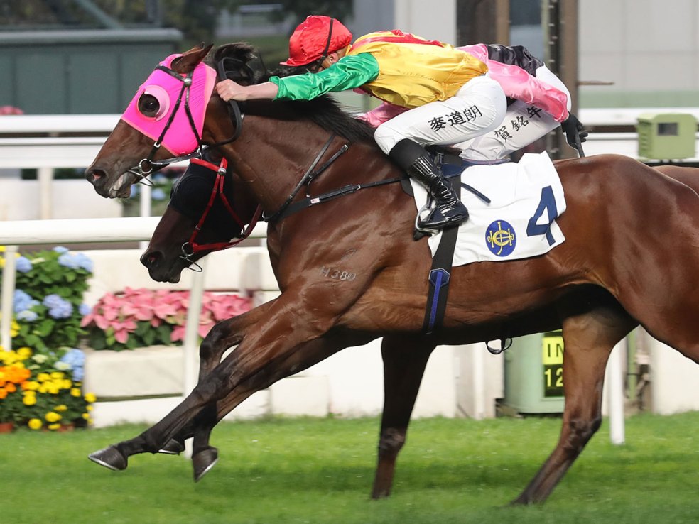 The Francis Lui-trained Speed Dragon was a fast-finishing fourth in the Hong Kong Classic Mile on his last start