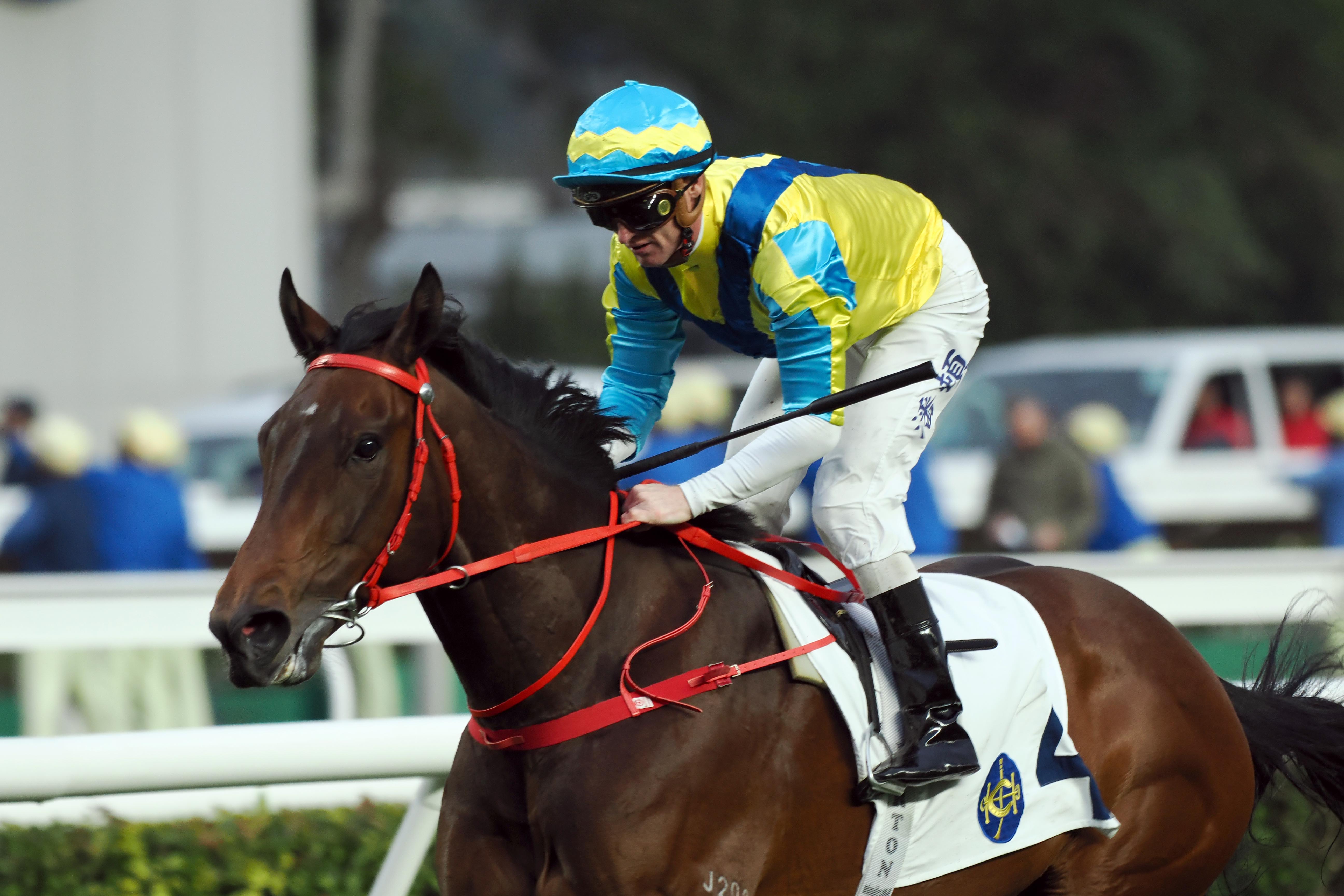 Sovereign should have a Massive chance in the HK Derby