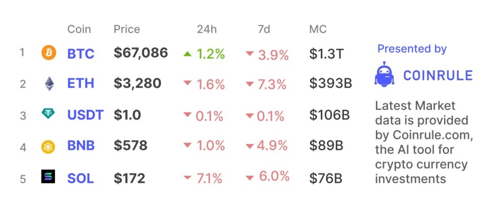 The approval of the Bitcoin ETF triggered a crypto market surge that pushed Bitcoin to new highs. Amidst the rally, manias have emerged, including the explosion of memecoins. 