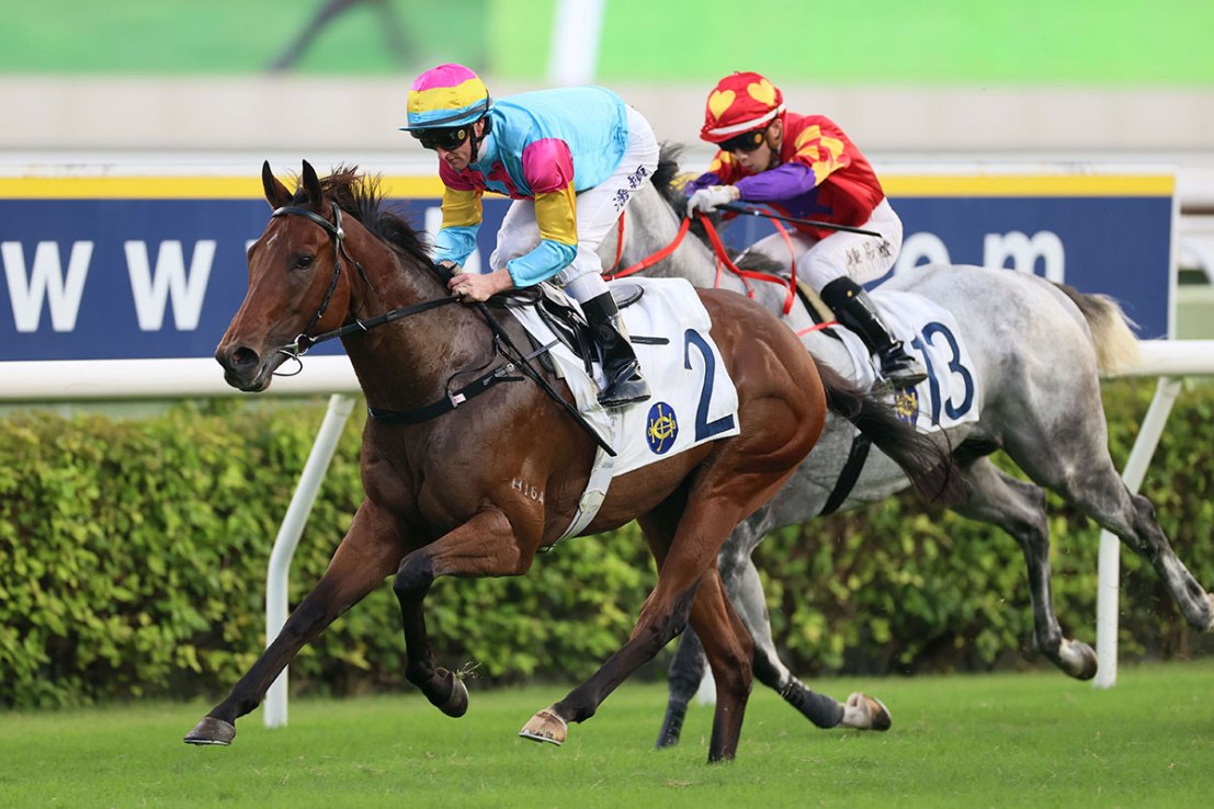 The Pierre Ng-trained Taj Dragon steps up to a mile in the Group Two Chairman's Trophy