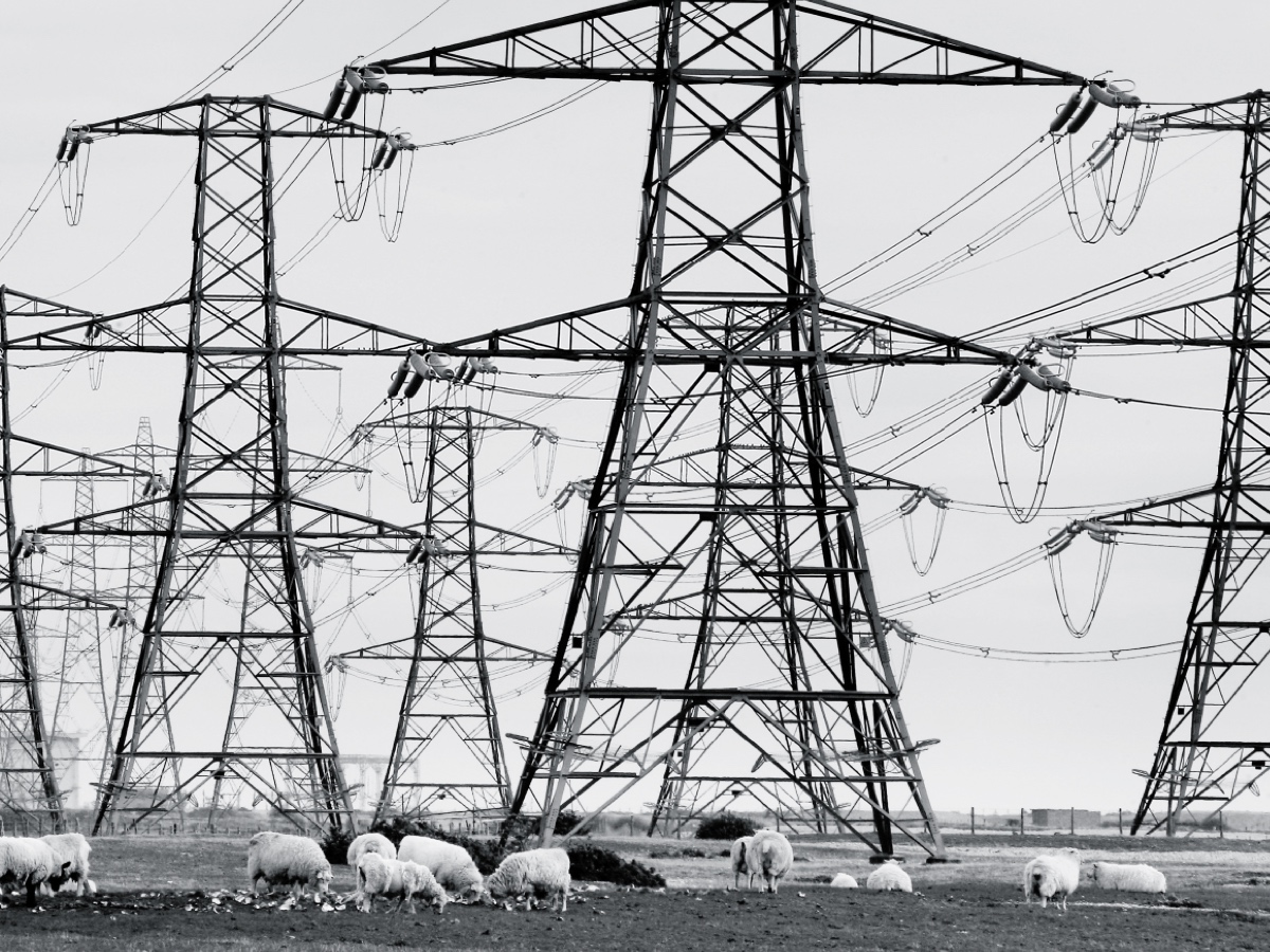 Together in electric dreams: The poetic beauty of pylons