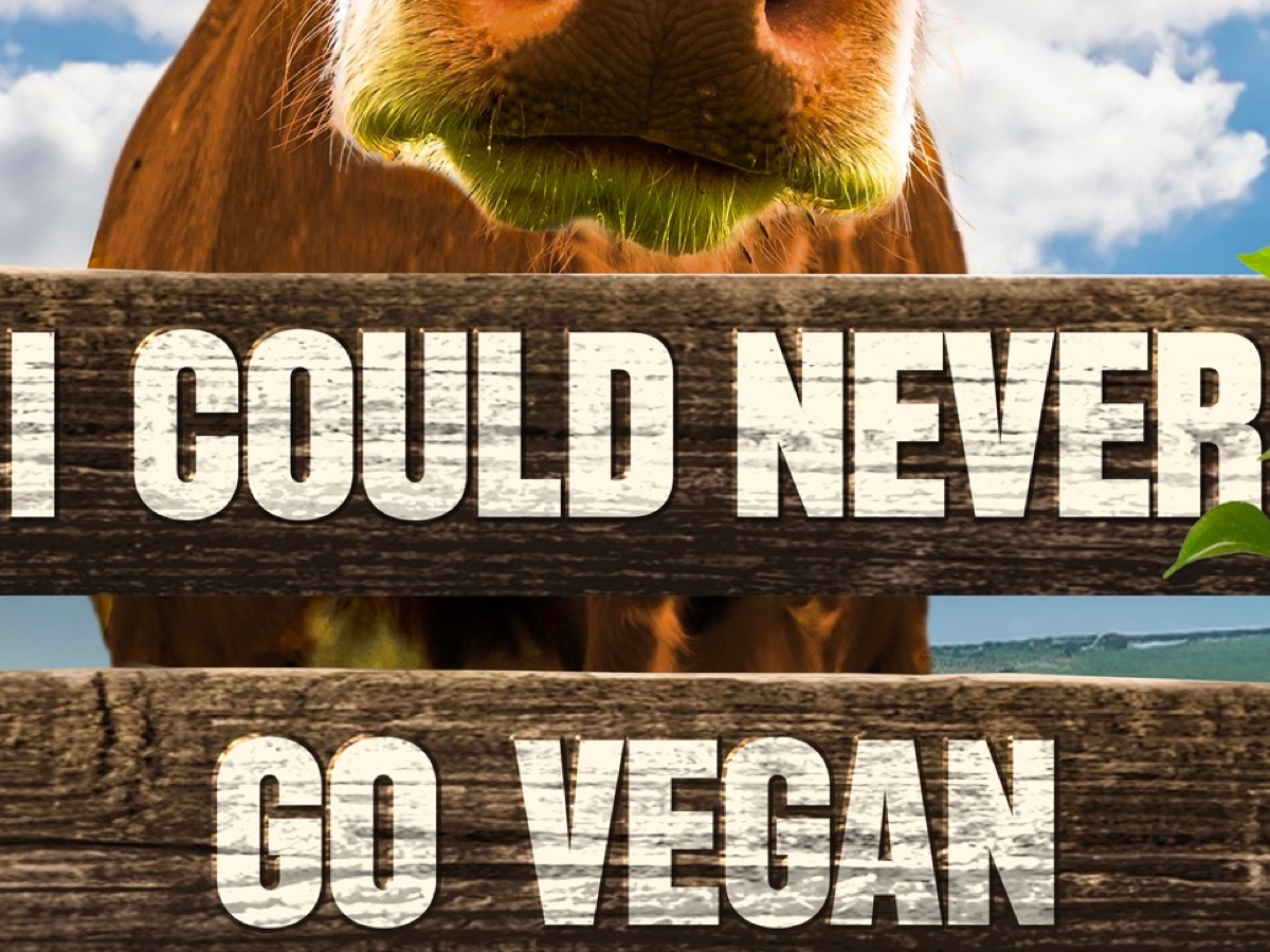 I Could Never Go Vegan review: A well reasoned lecture