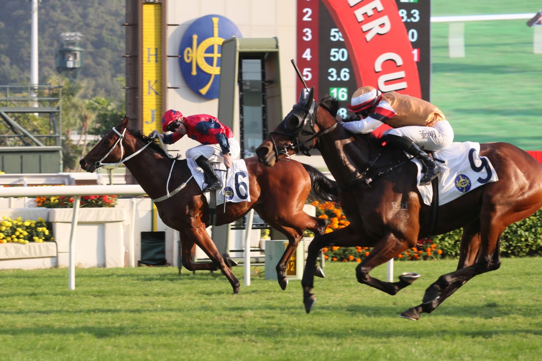 Tony Cruz-trained The Golden Scenery won the Class One Chevalier Cup at Sha Tin in Novemeber