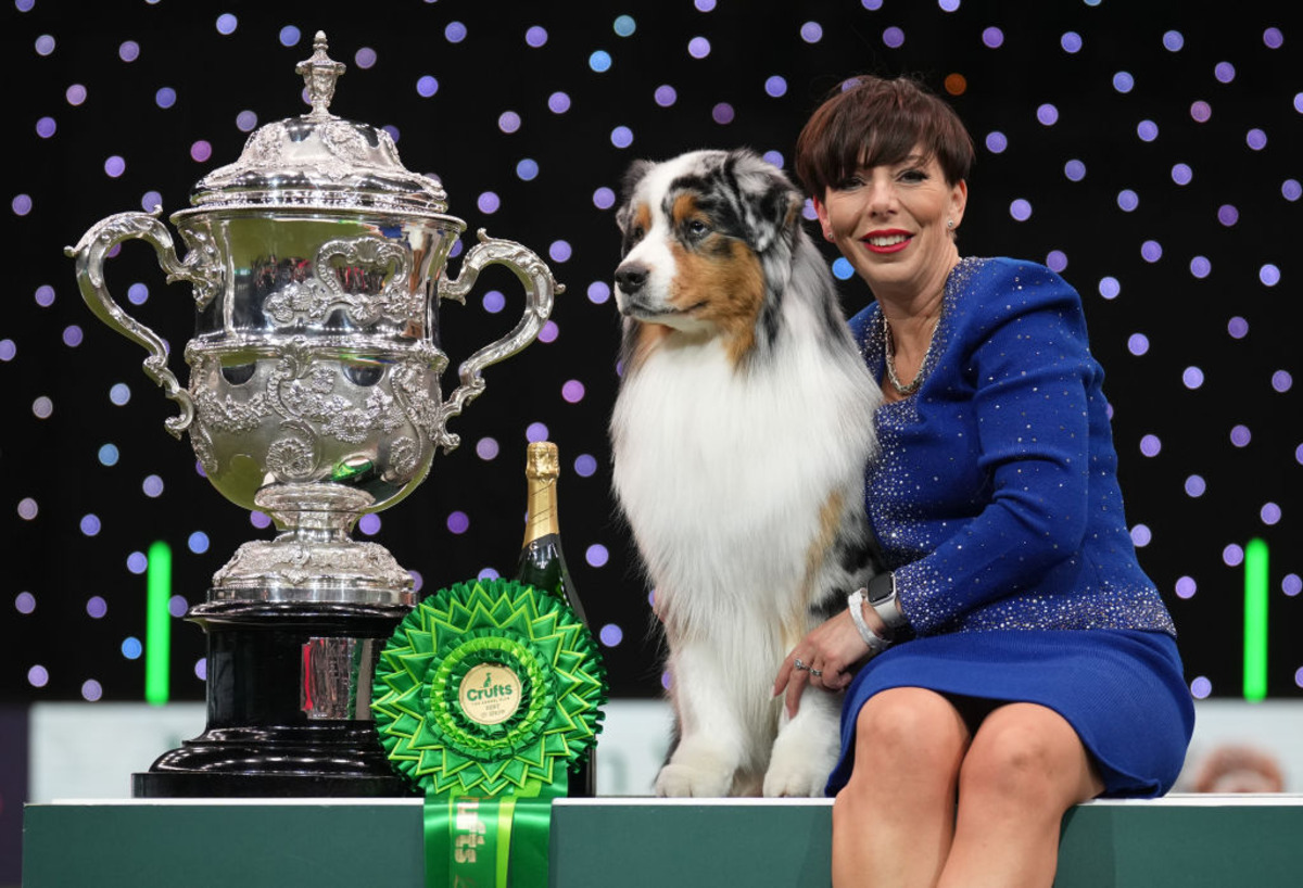 Crufts Organiser Has Rough Year As Rising Costs Push It Into The Red