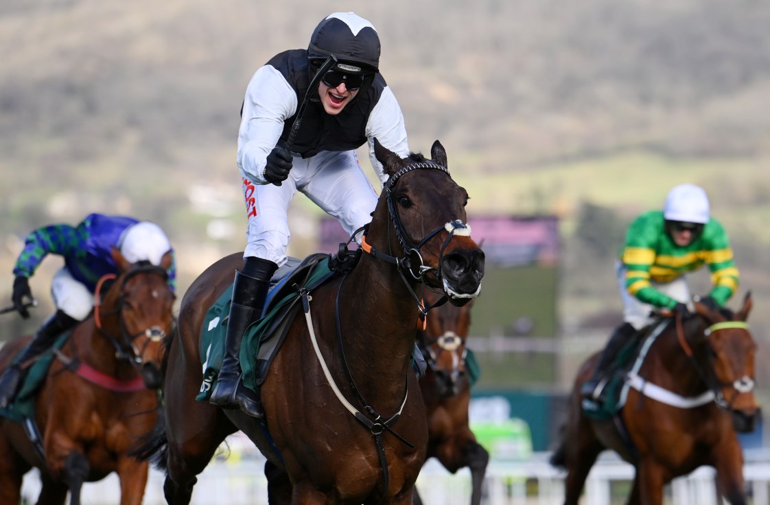 Two-time Cheltenham Stayers' Hurdle winner Flooring Porter lines up in the Kerry National at Listowel.