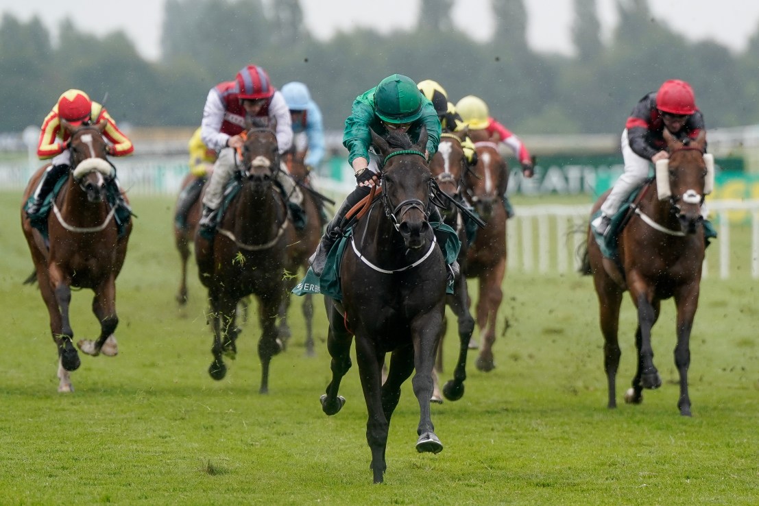 Breathe a sigh of Relief for Haggas’ Rally at Newbury