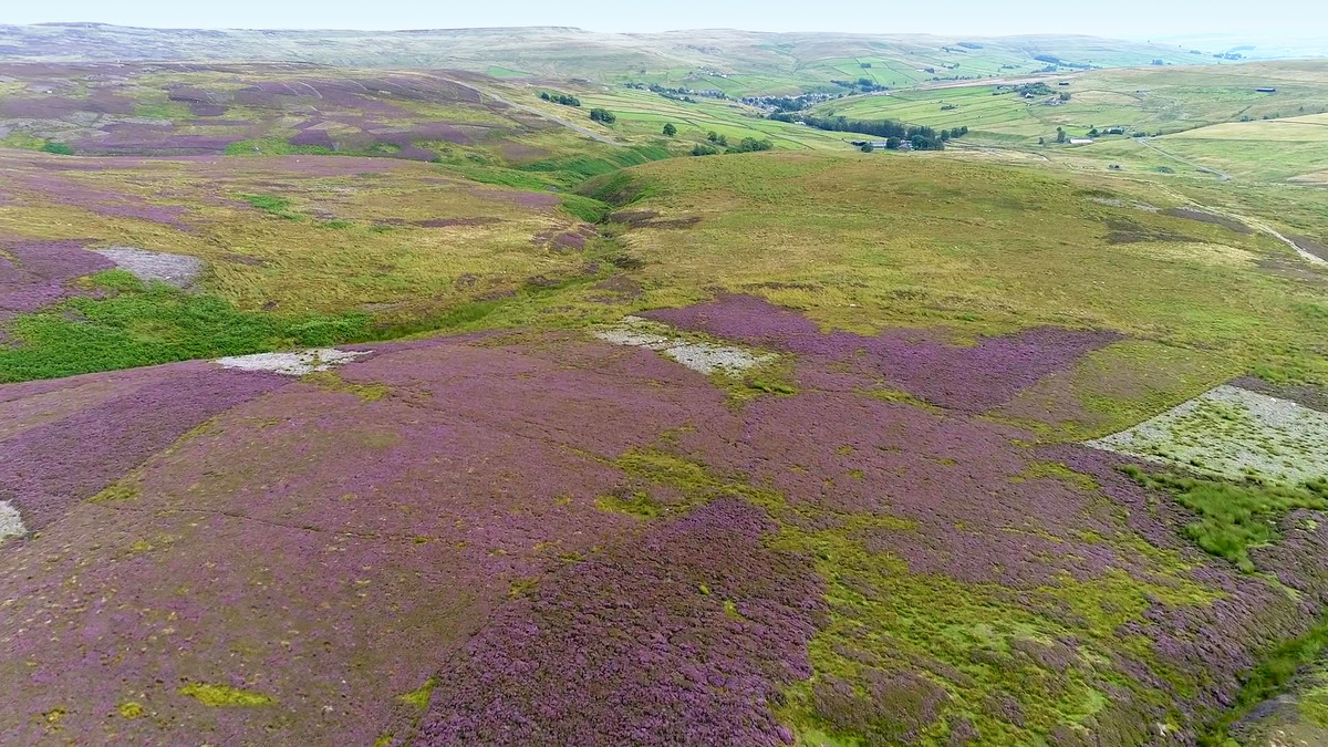 Northern Pennine Orefield, County Durham, Northeast of England 