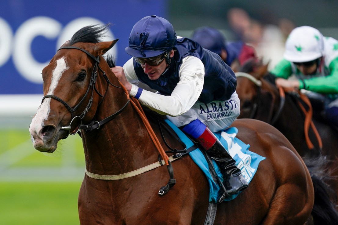 Rohaan set to rule the roost in Ayr Gold Cup