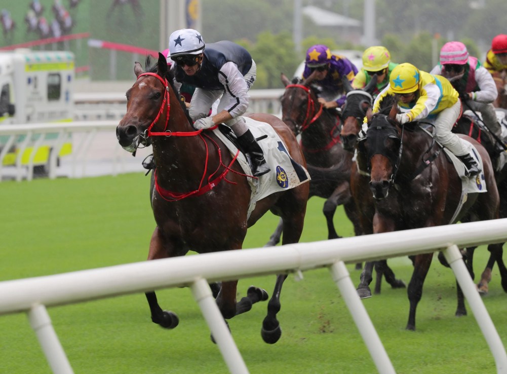 Fast Network looks to keep hold of his unbeaten record at Sha Tin.