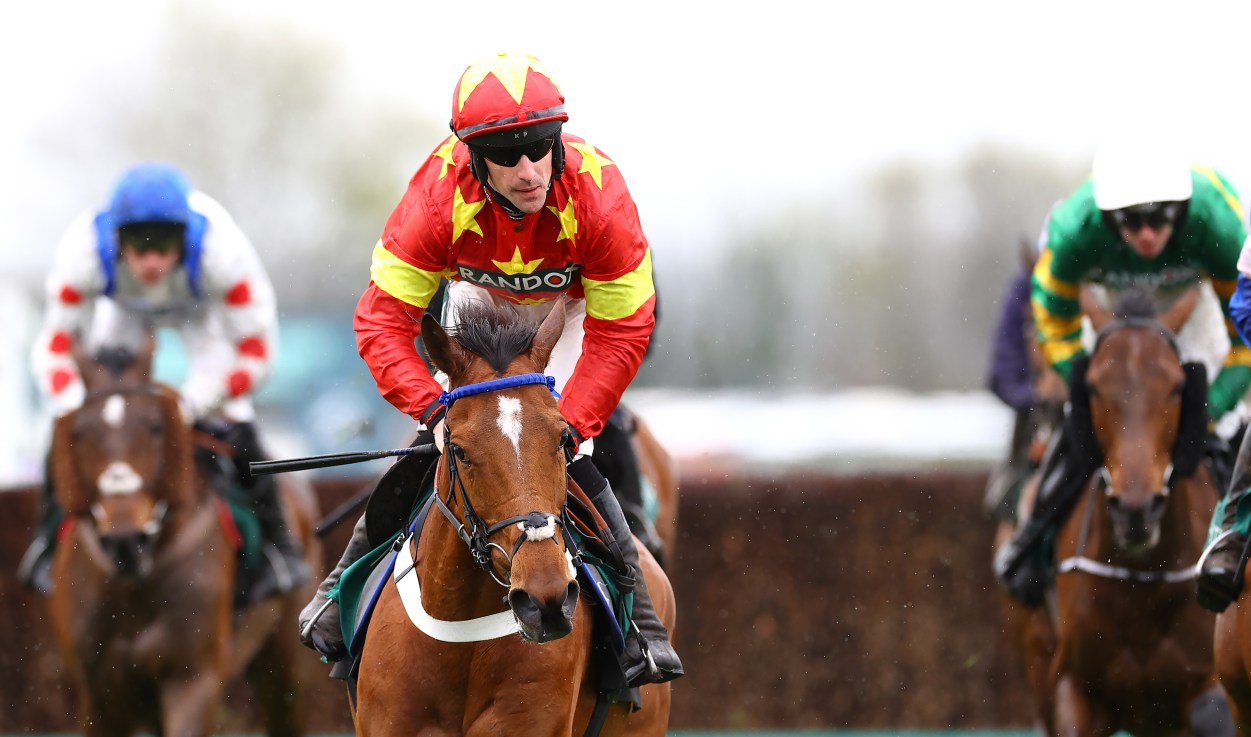 Minella Drama finished second in last year's Old Roan Chase