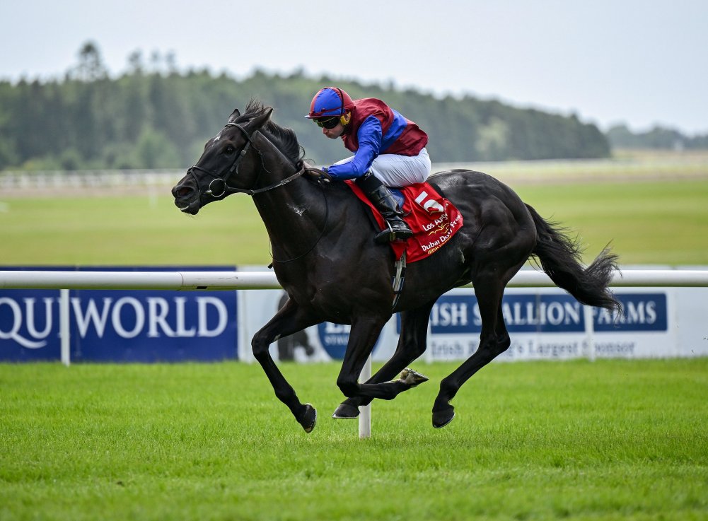 Los Angeles runs in Sunday's Prix de l'Arc de Triomphe for Aidan O'Brien.