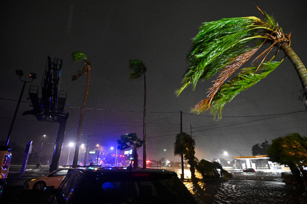 Palm trees bend in the wind after Hurricane Milton made landfall in Florida. Photo: Getty