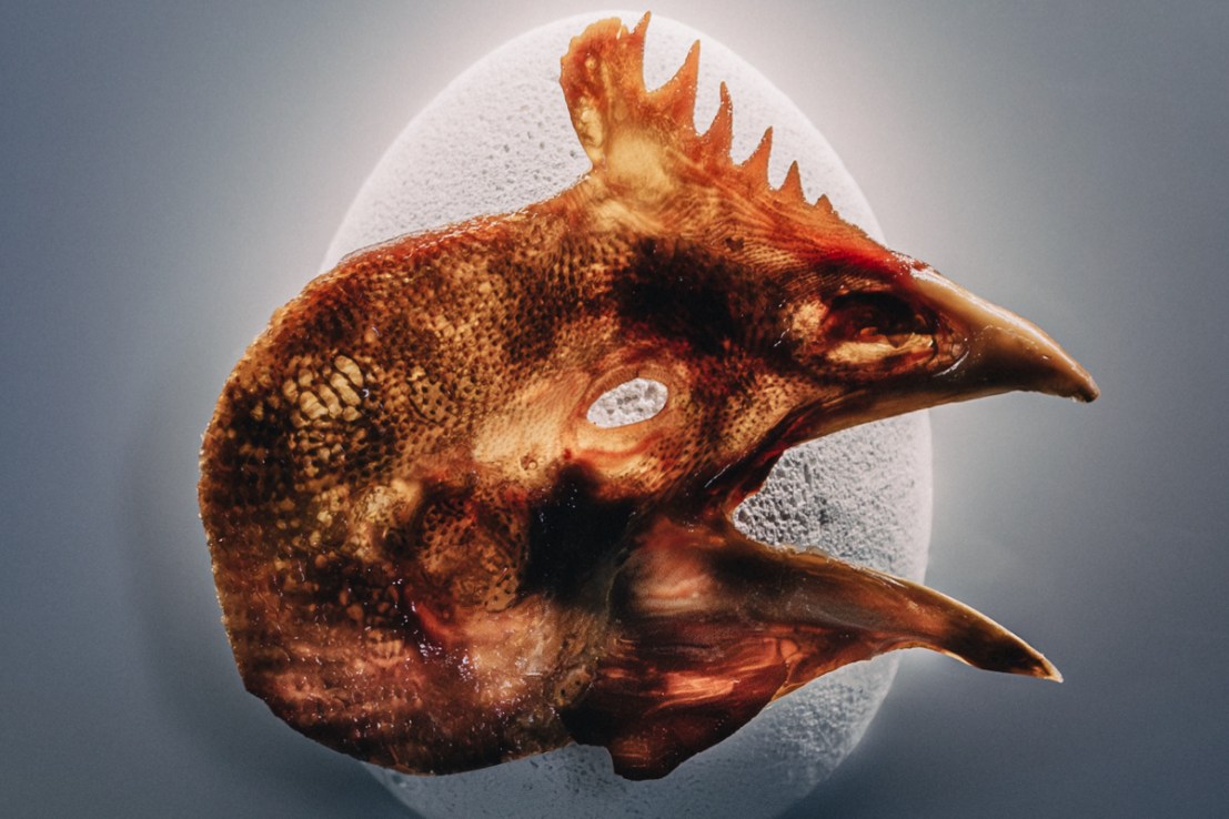 A dish at Alchemist featuring a chicken's head. But can it take the mantle from Noma?