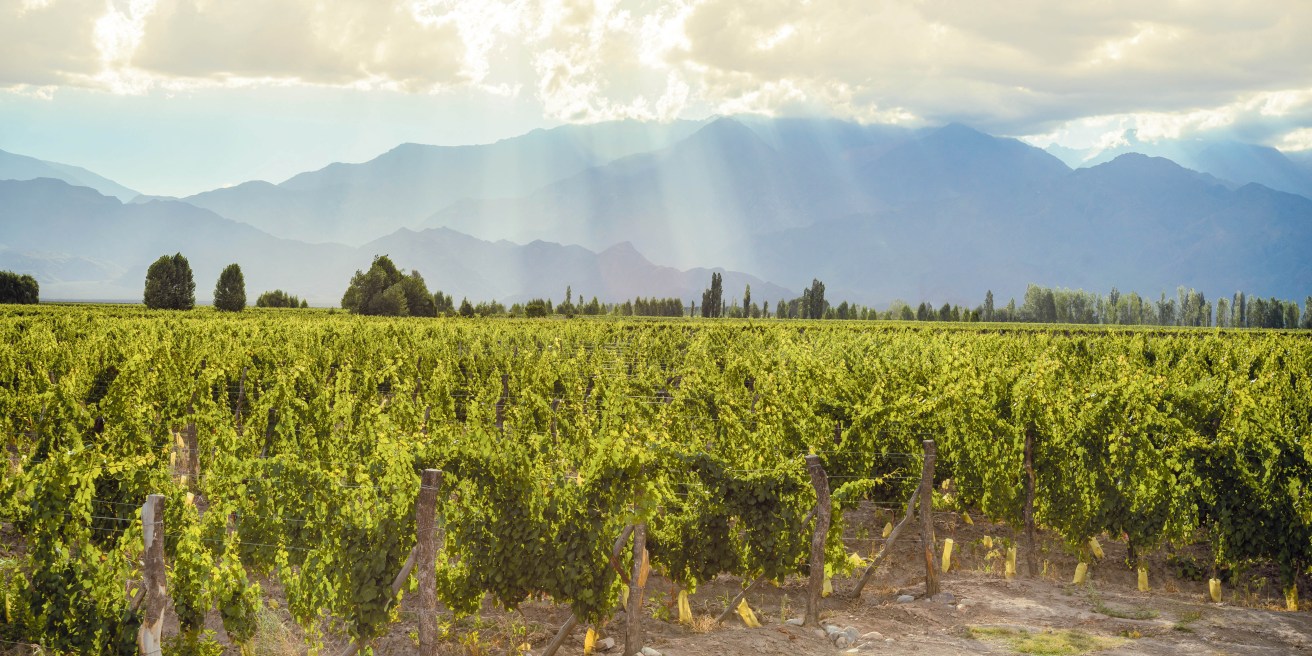 Move over Malbec: Why There’s more to Argentina