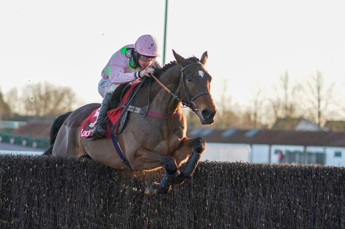 Royale Pagaille won last season’s Betfair Chase