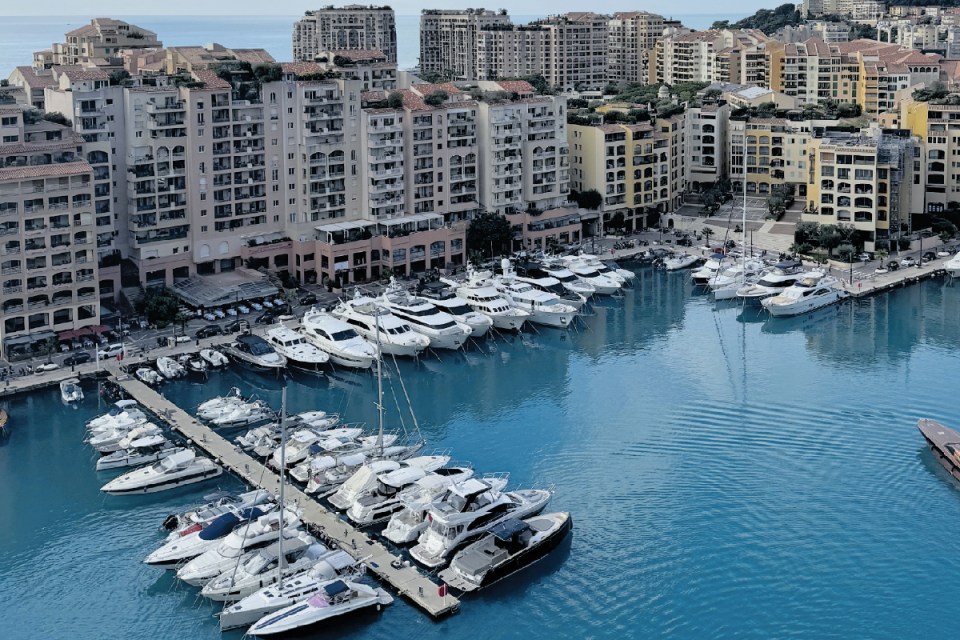 The Monaco marina