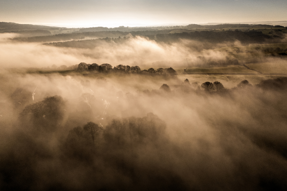 Disruptive fog to stick around into weekend, forecasters say