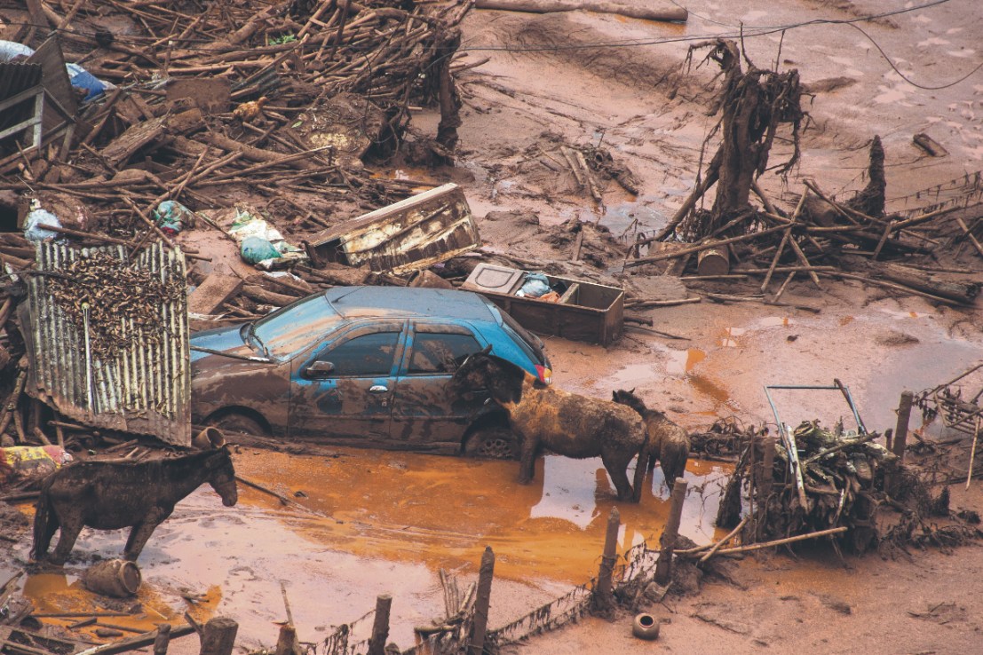 The collapse of the Fundao dam was one of the worst environmental disasters in human history.  (Horses remain next to a car after a dam burst in the village of Bento Rodrigues, in Mariana, Minas Gerais state, Brazil on November 6, 2015.  Photo credit: CHRISTOPHE SIMON/AFP/Getty Images))