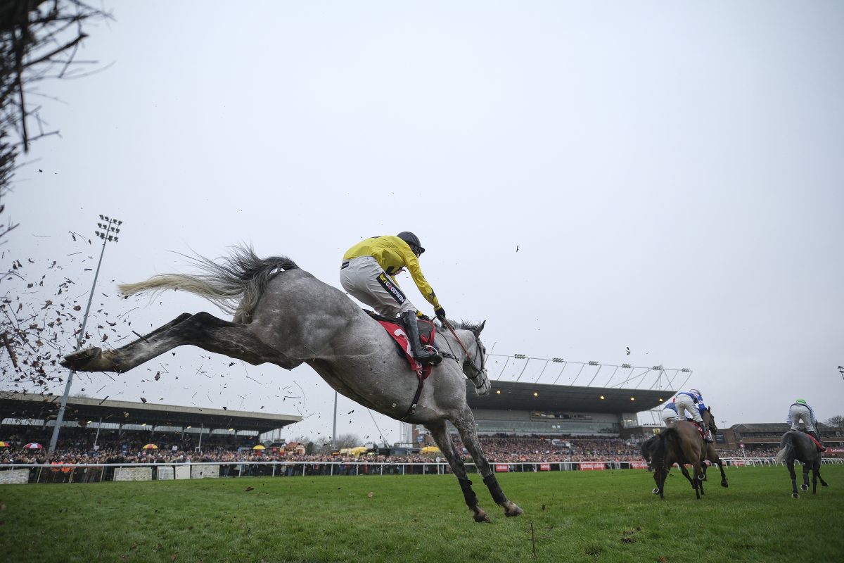 Horse racing gets shot in arm as festive spectator numbers boom