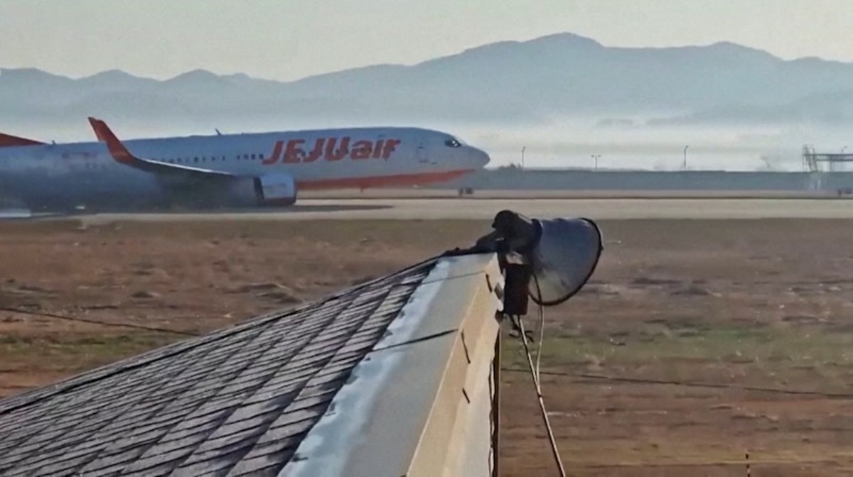 Jeju Air flight 7C2216 goes down the runway after landing at Muan International Airport, December 29, 2024 in this screengrab obtained from video. Lee Geun-young/via REUTERS 