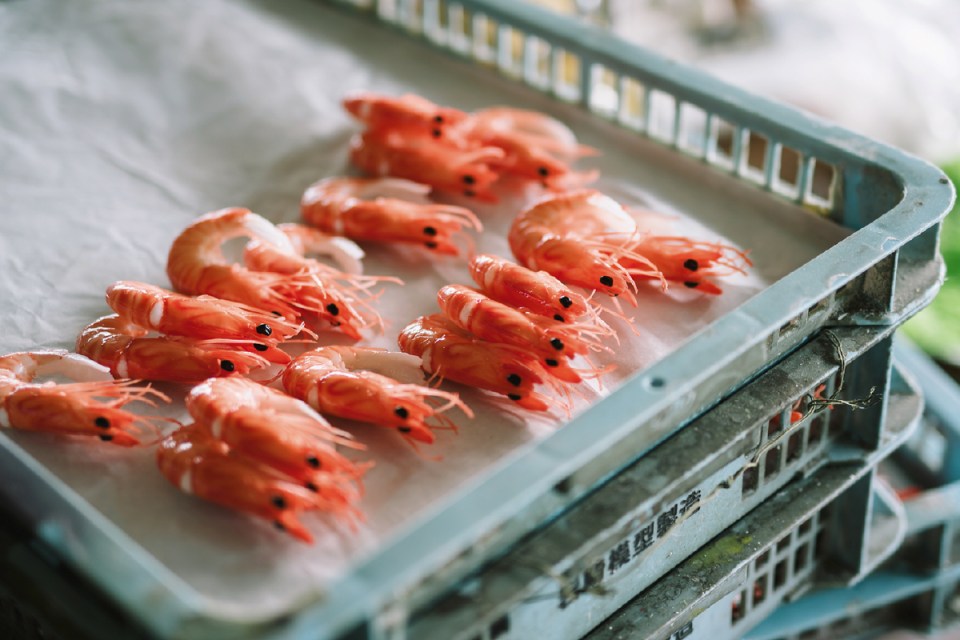 These lifelike prawns are model food from Japan